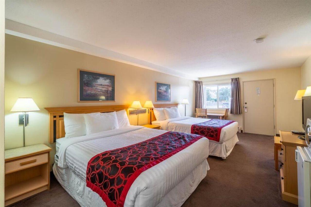 Canada'S Best Value Desert Inn & Suites Каш Крийк Екстериор снимка